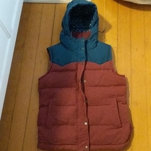 Patagonia hooded down vest